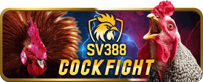 Ưu đãi độc quyền M88sut